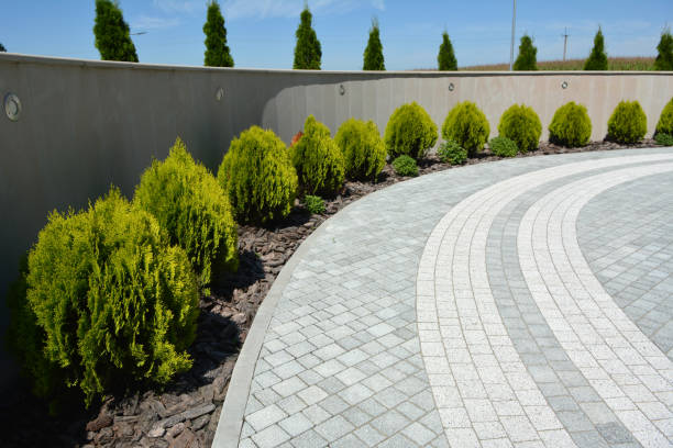 Reasons to Select Us for Your Driveway Paving Requirements in Wade, MS